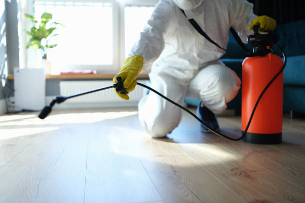 Reliable Odor Removal contractor in Wallace, ID by Dulley Family Biohazard Services